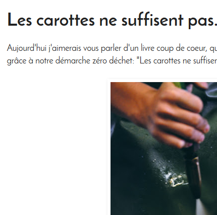 Article de blog sur "Les carottes ne suffisent pas"